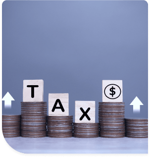 legal solutions for taxes cases