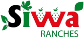 /assets/images/homePage/partners/846267_354348 1.png