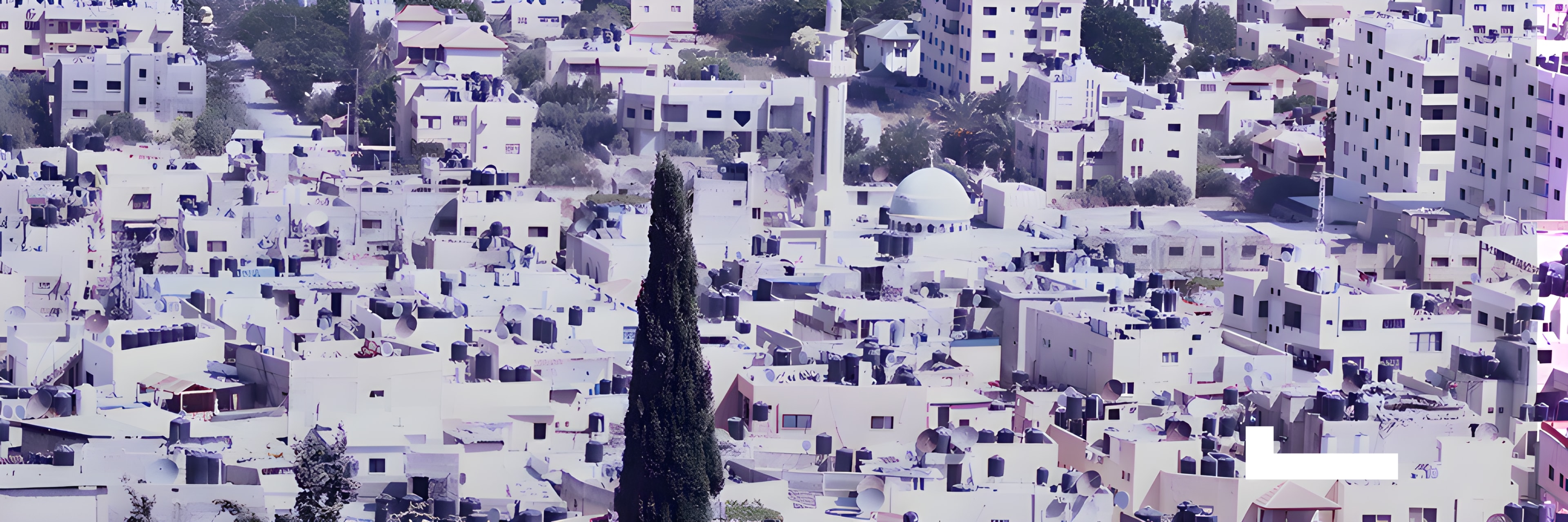 Law firm in Jenin